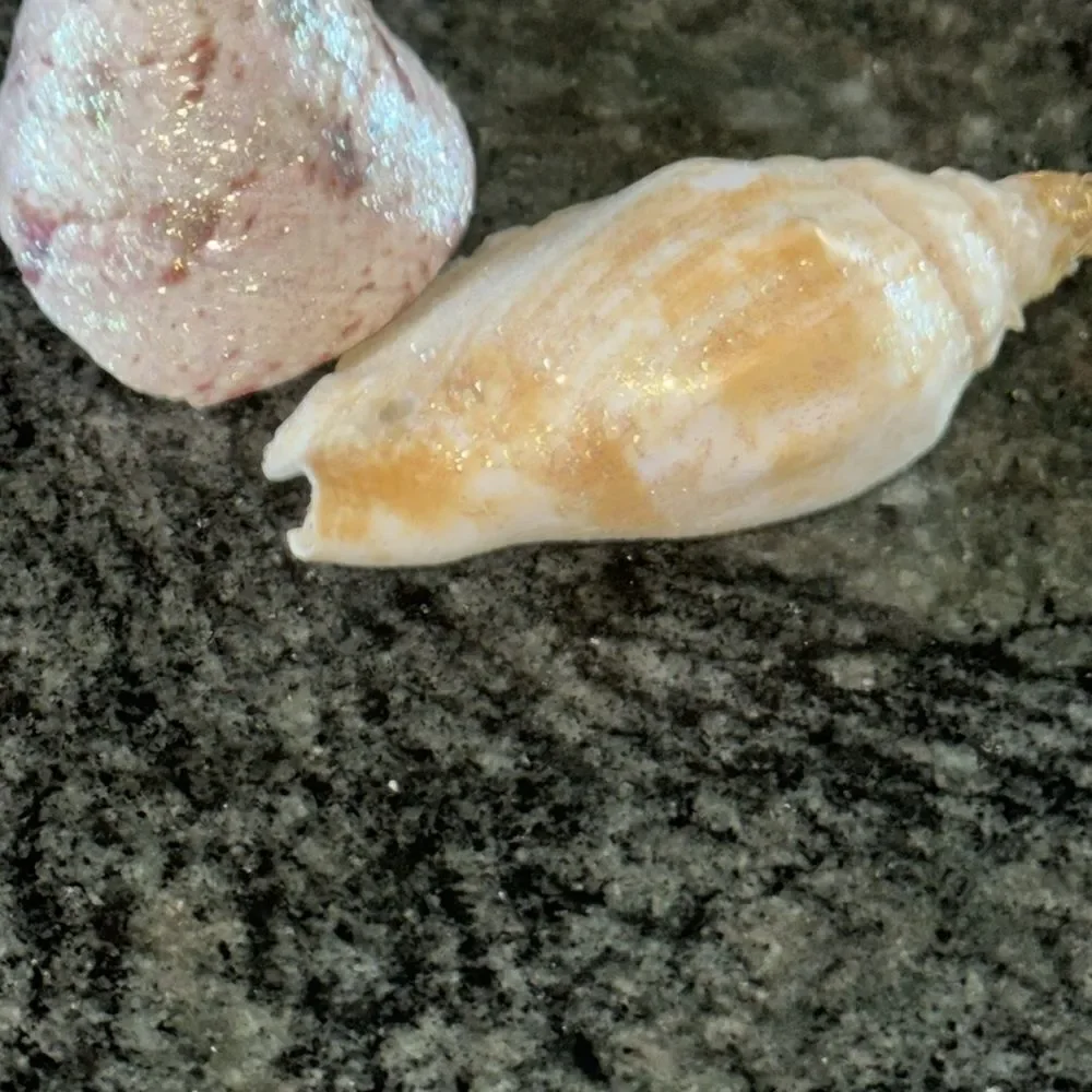 seashell sparkly ornaments  set of 2